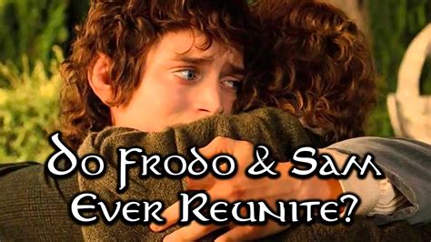 does frodo survive to see the end of the trilogy