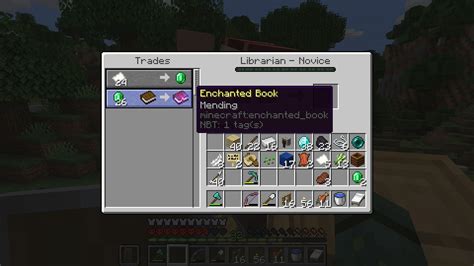 How to Get Mending Books in Minecraft: A Guide with Multiple Views